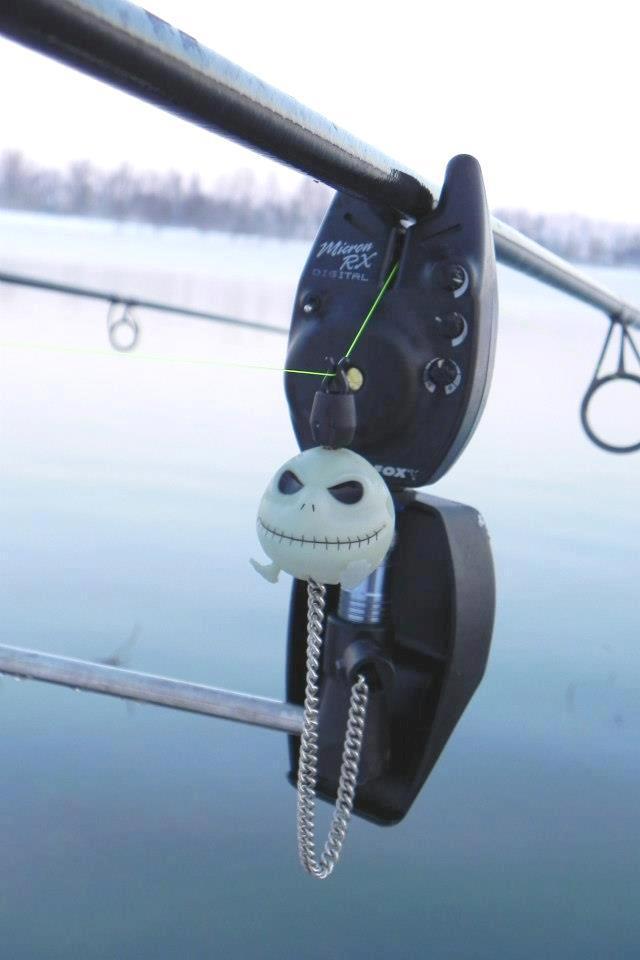 All4carp - 7351671760003692149431922429399n.jpg